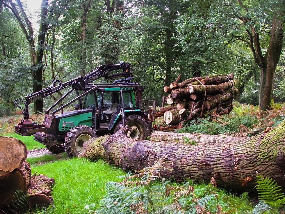 Valmet Forest Forwarder