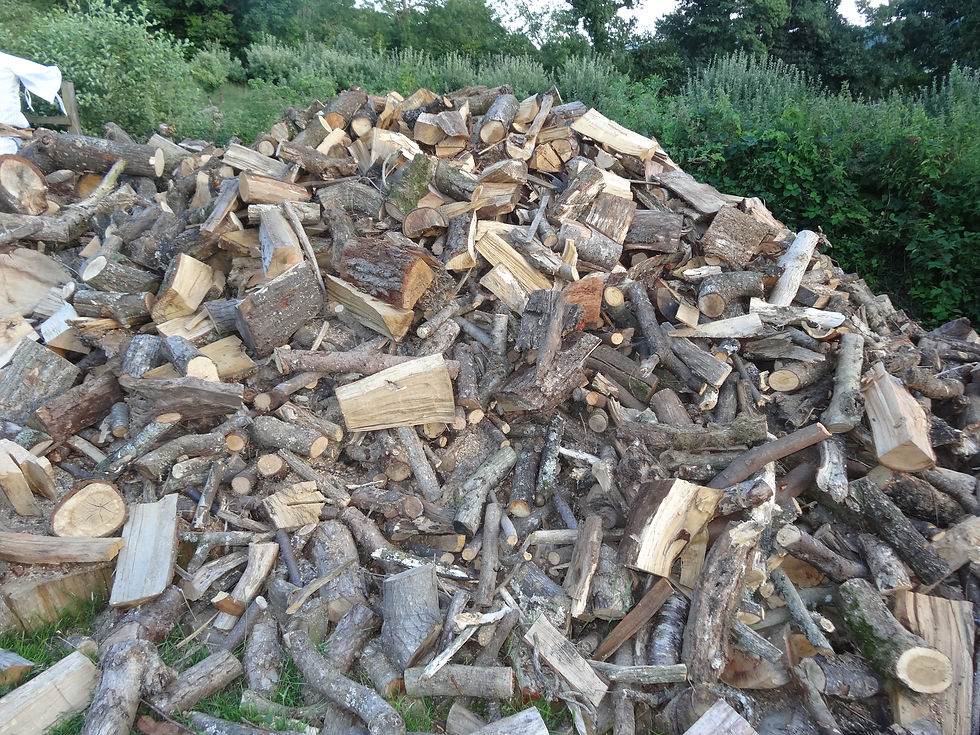 Very seasoned Firewood