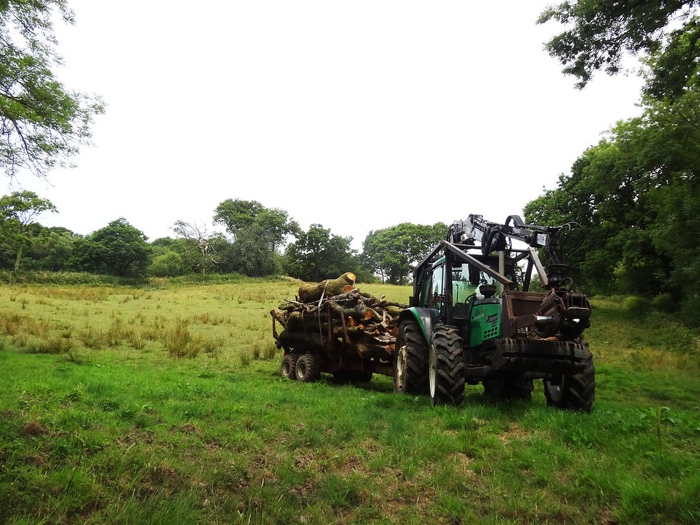 Secluded Site cleared