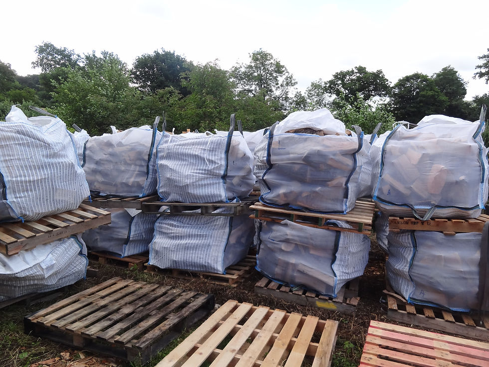 Seasoned Split Logs by the Log Bag