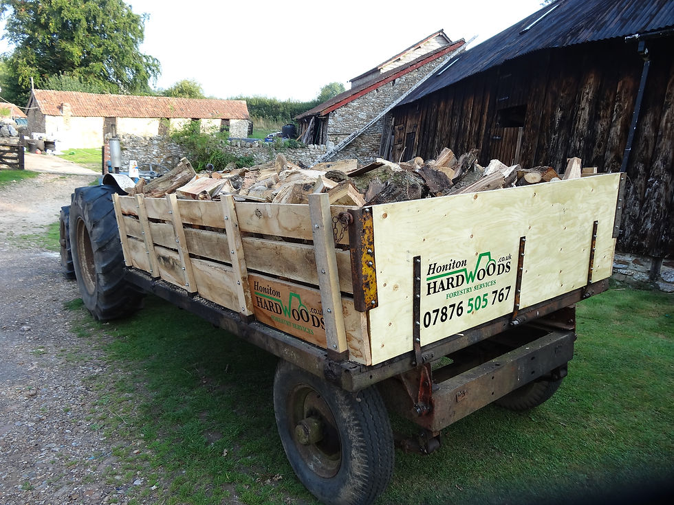 Logs by the Tipper Load