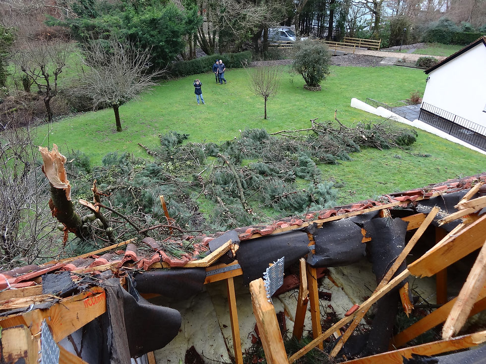 Storm Damaged Tree Hits House