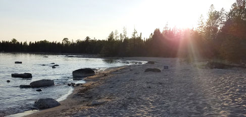 Sunset over the pine trees on a sandy beach.