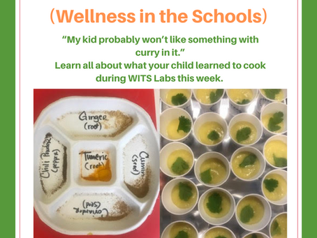 WITS Labs at PS 29