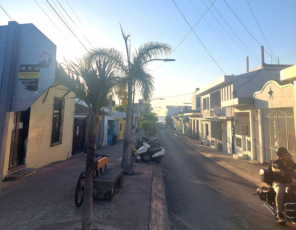 looking for long term rental in downtown cozumel