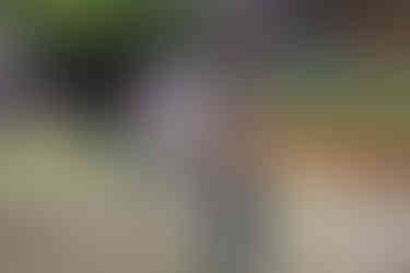 Boys running in yard