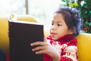 2020 Holiday Reading Guide