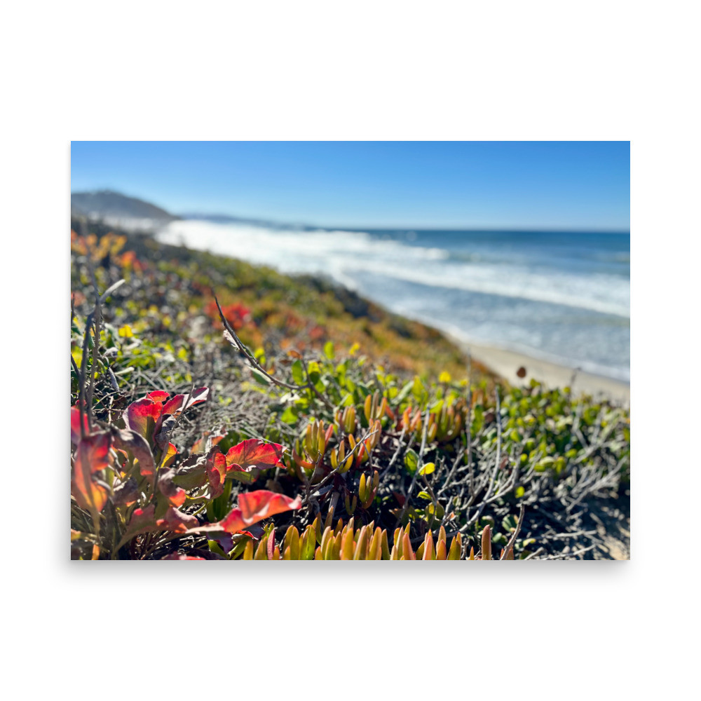 Oceanside by Danielle Eze