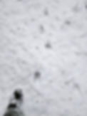 20241124_072909.jpg