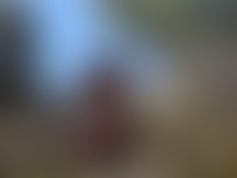 17 March 2025 - Day 15 -Temples 31, 32 and 33 - 21 km