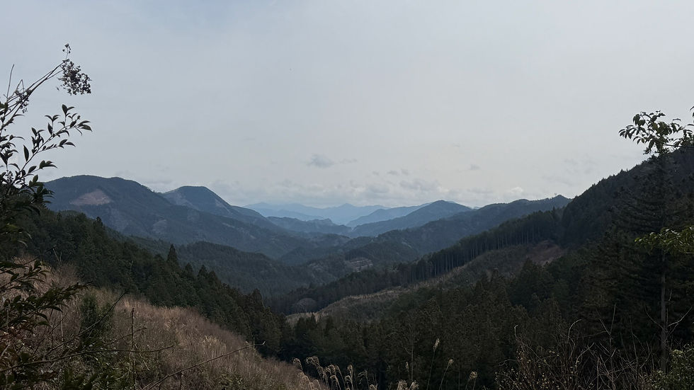  View after the mountain pass