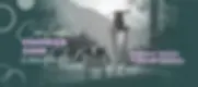 banner-beautyandcosmetics-1-babd3ed4-8a94-4ff5-920d-5ef46aafdef0.webp