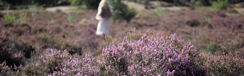 Coaching en Healing.png