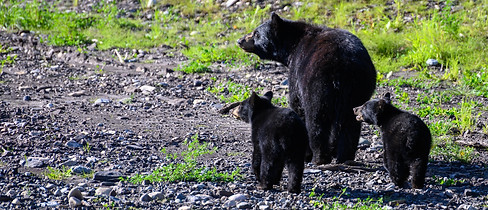 image-20230908-102344 (3).jpeg