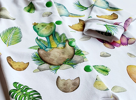 baby dino baby grow