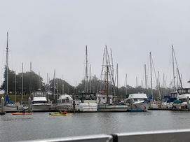 IMG_5859.JPEG