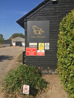 Skippers Hall Equestrian