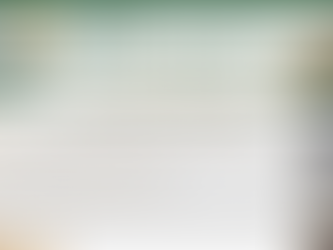 The Authority Newsletter - July 2025