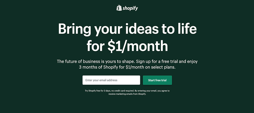 Shopify landing page example