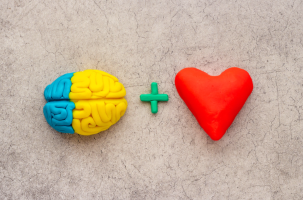 Emotional target image of brain plus heart