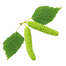 image-removebg-preview - 2025-01-09T211340.513.png