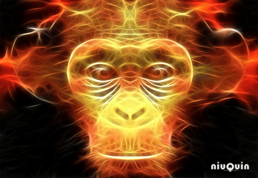 niuQuin-Mono-de-fuego