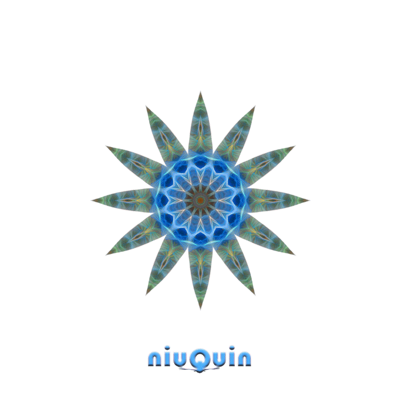 niuQuin Max DynamicArt