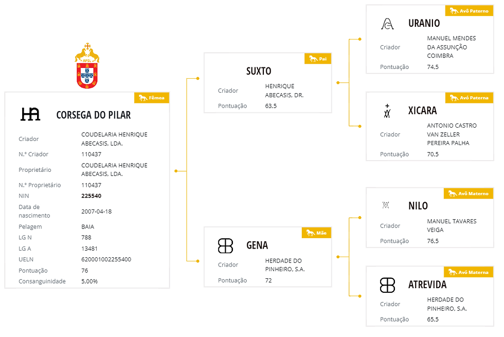 genealogia Córsega