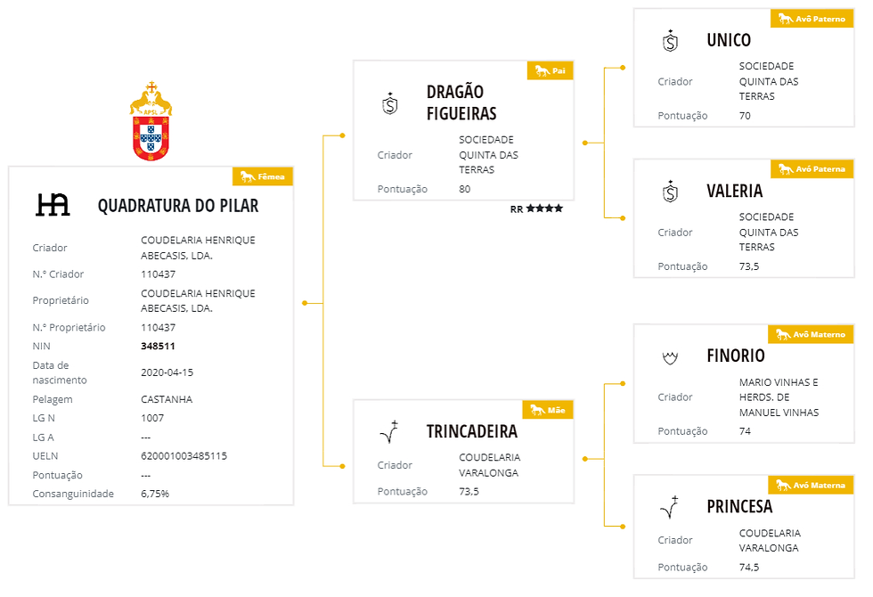 Genealogia Quadratura