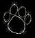 website glitter paw_edited.jpg