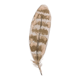 Feather 2