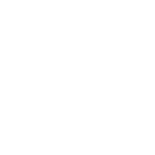 presentation icon
