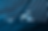 480A1126 copy-2-min.png