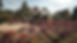 DJI_0038.jpg