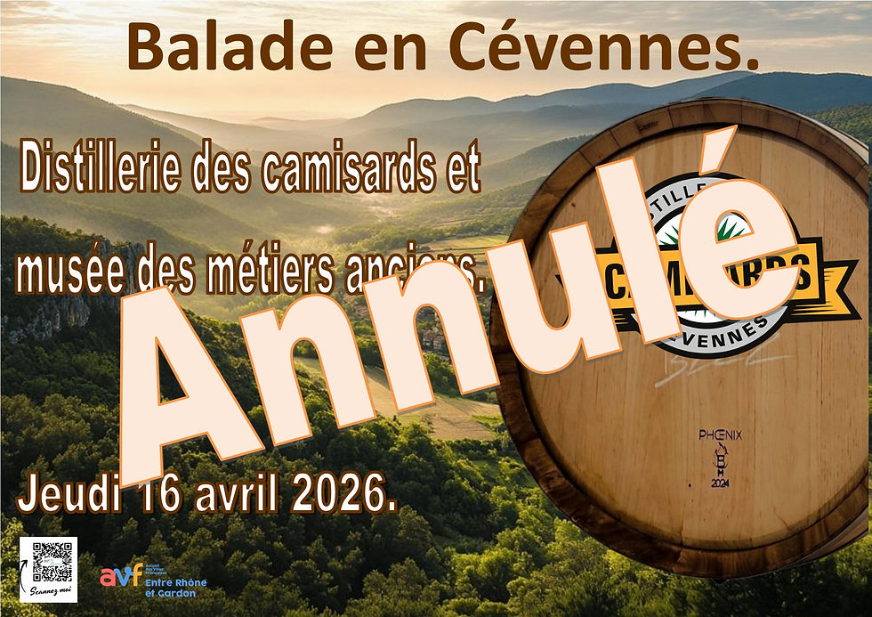 Balade en Cévennes
