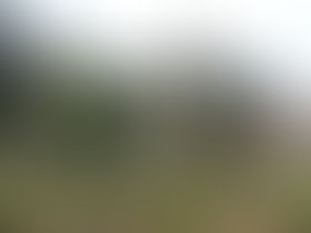 AVF Bagnols sur Cèze