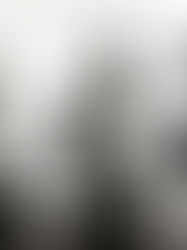 Financial Success in Cambodia's Insurance Industry