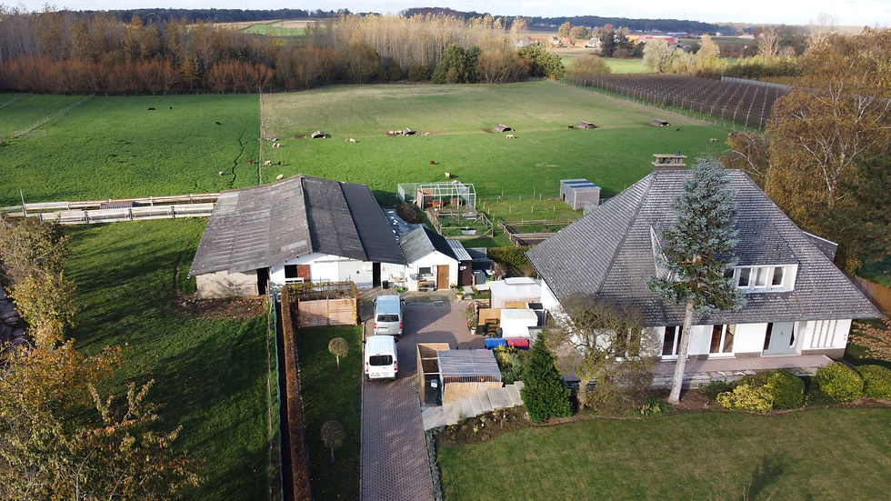 DeZorghoeve-Aerial.jpg