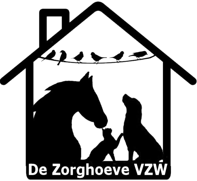 De Zorghoeve