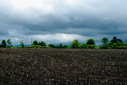 _DSC4402_e.JPG