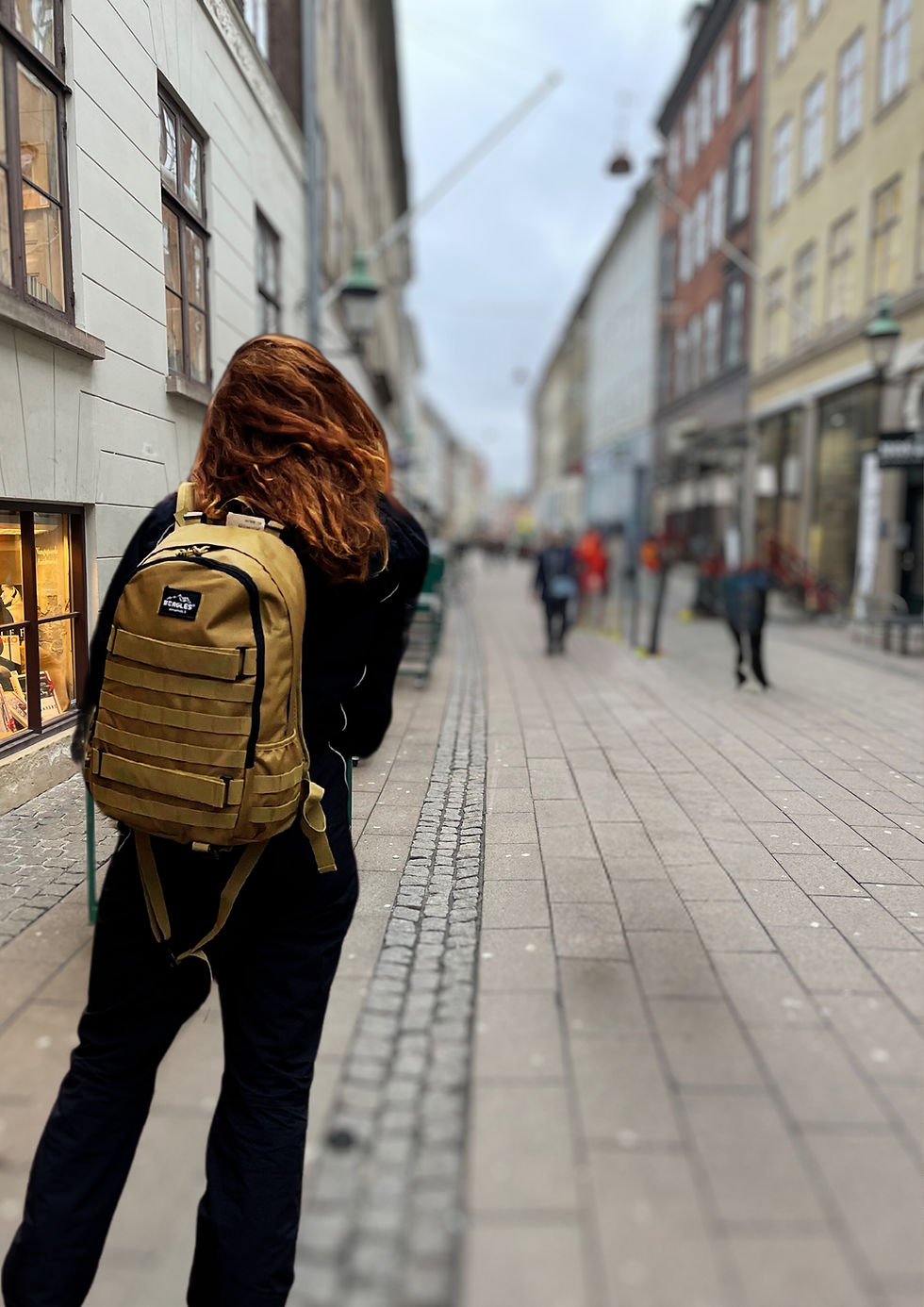 Thumbnail: BEAGLES Originals -  Back pack - Skatepack - Sand