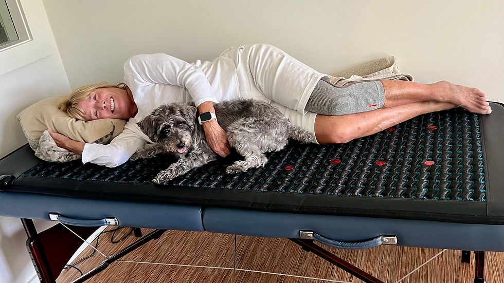 縮圖：Infrared Sauna PEMF 6-in-1 Therapy Mat