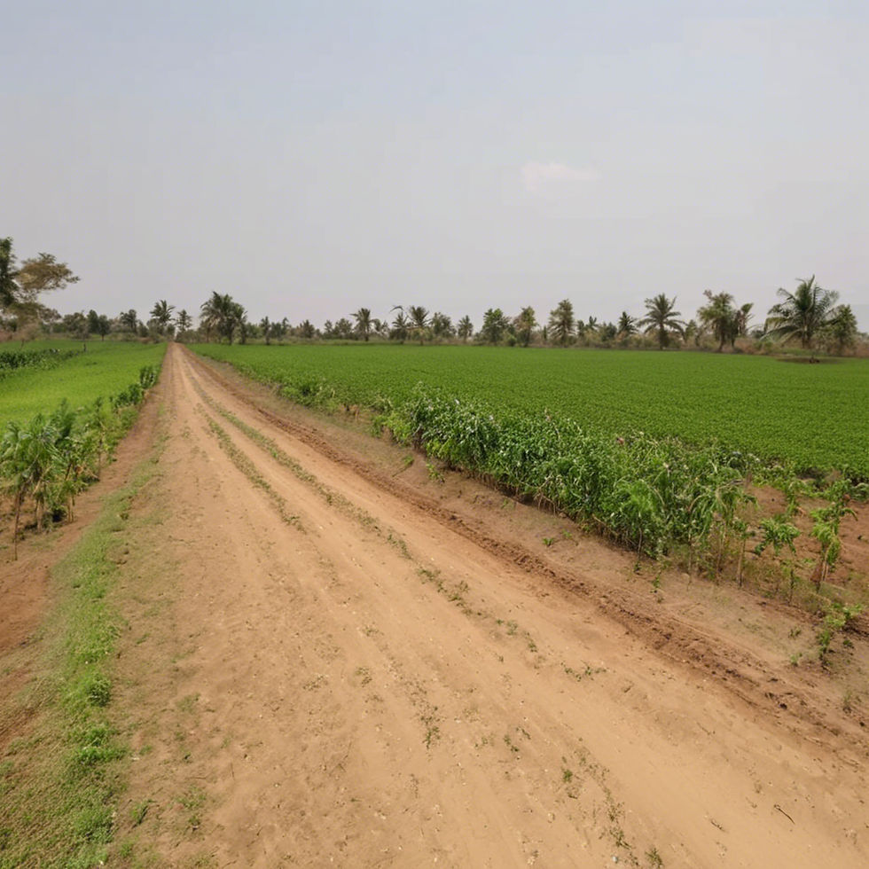 Plots of Land for Sale.jpg
