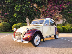 Citroen 2CV Dolly ESS MEC 1974