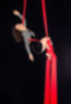 Sara Headshot | Aerial Dragonfly Movement Studio