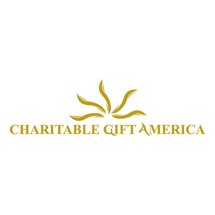 Charitable Gift America
