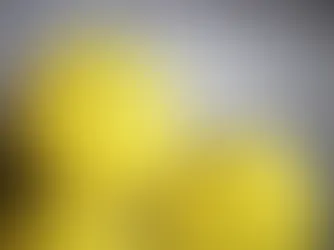 Emotions Controlling Your Personal Finances