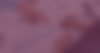 hc3print | marketing consultation with purple overlay