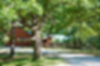 Tall Pines Indian Welcome Tree