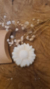 Fondants FLEUR DE COTON x2